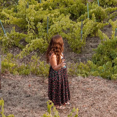 فيلة Casale Alle Vigne *