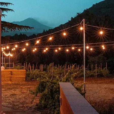 Villa Casale Alle Vigne *