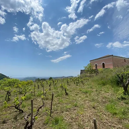 فيلة Casale Alle Vigne