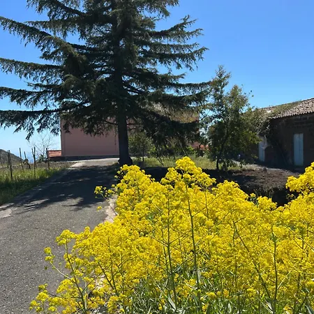 Casale Alle Vigne * تريكاستانيي