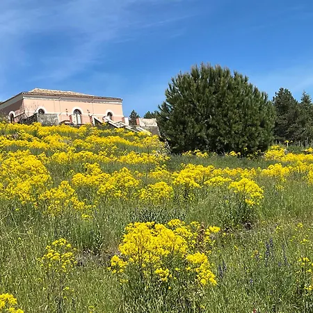 Casale Alle Vigne تريكاستانيي