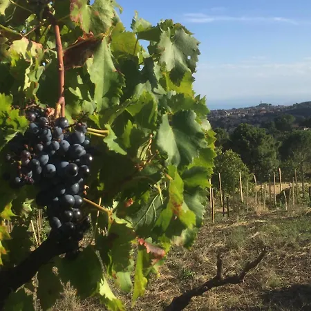 Casale Alle Vigne * تريكاستانيي