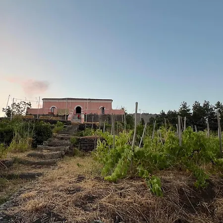 فيلة Casale Alle Vigne