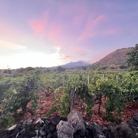 Casale Alle Vigne فيلة *