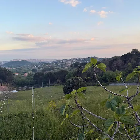 Casale Alle Vigne فيلة تريكاستانيي